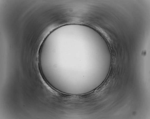 X0000098121479200804181507
