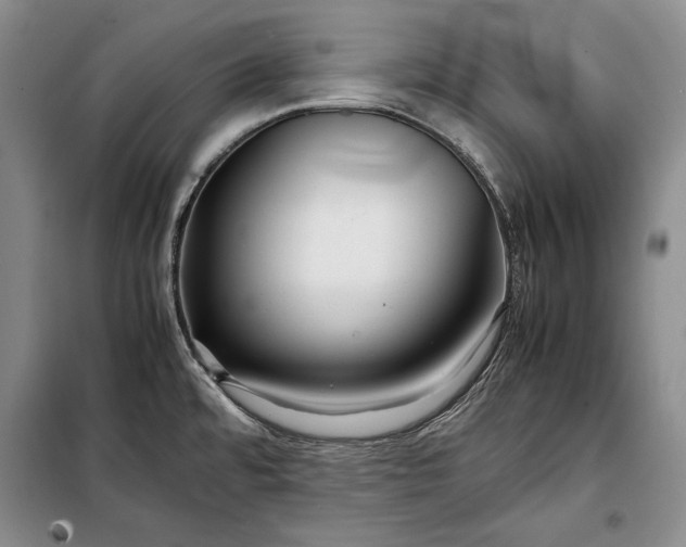 X0000098121480200804181507