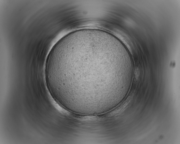 X0000098121482200804181507