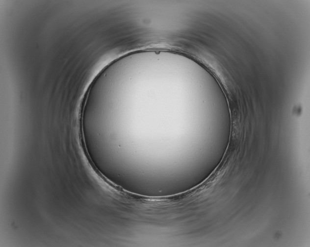 X0000098121483200804181507