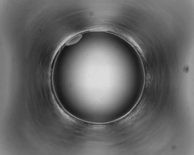 X0000098121484200804181507