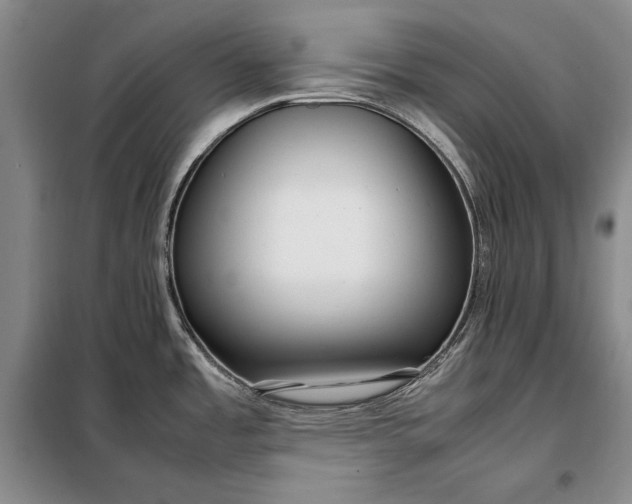 X0000098121485200804181507