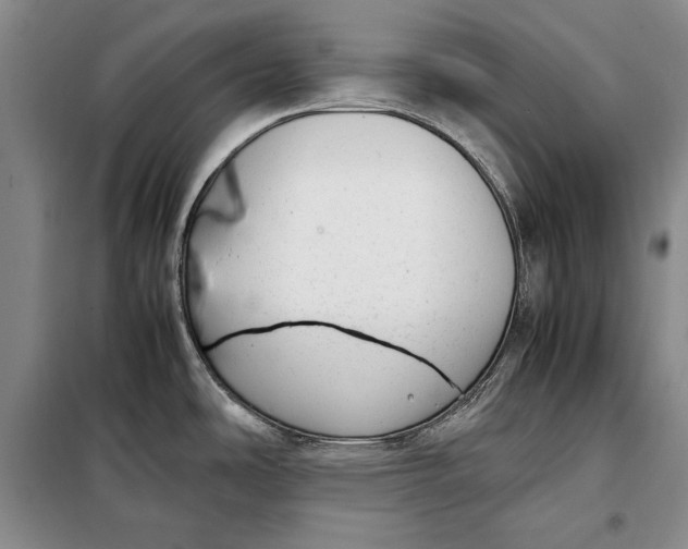 X0000098121486200804181506