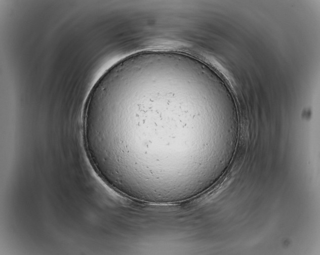X0000098121487200804181506