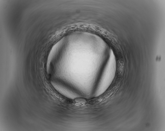 X0000098121489200804181505