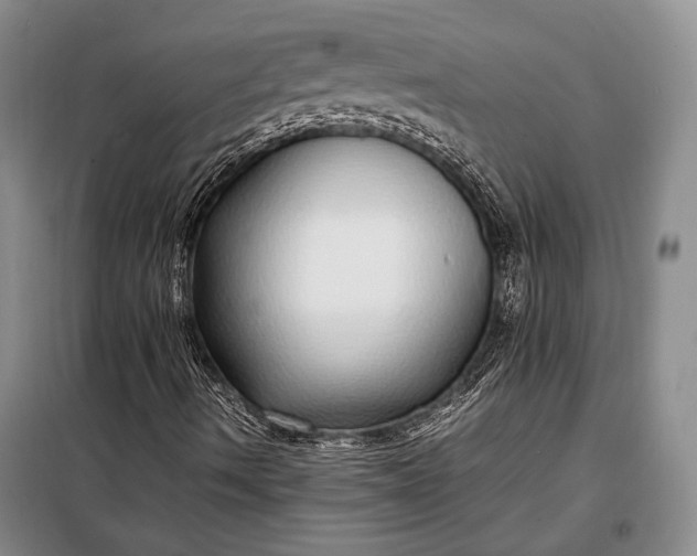X0000098121490200804181505