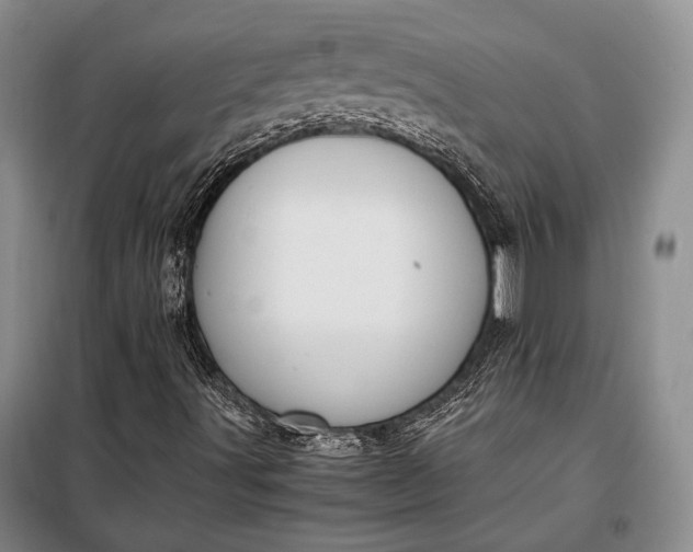 X0000098121491200804181505