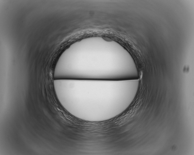 X0000098121492200804181506