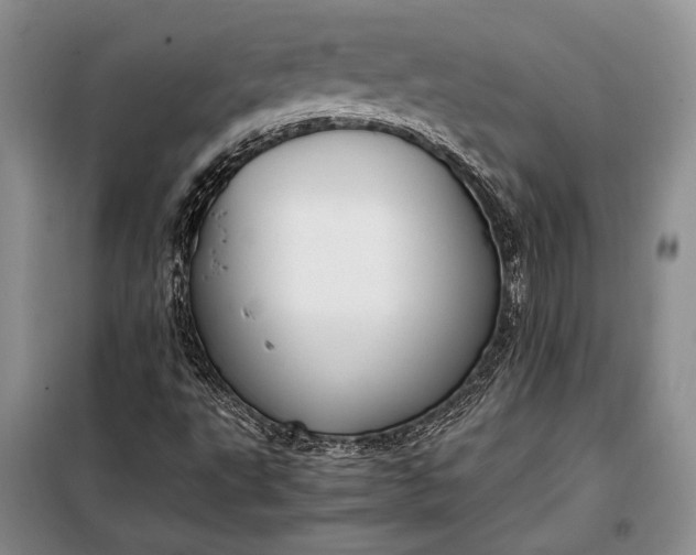 X0000098121495200804181506