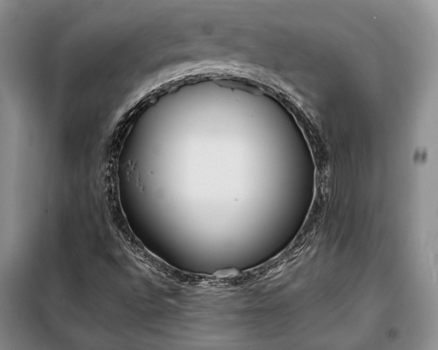 X0000098121496200804181506
