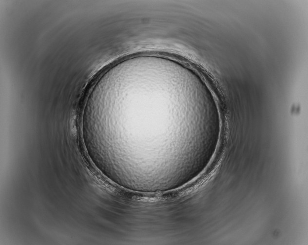 X0000098121497200804181506