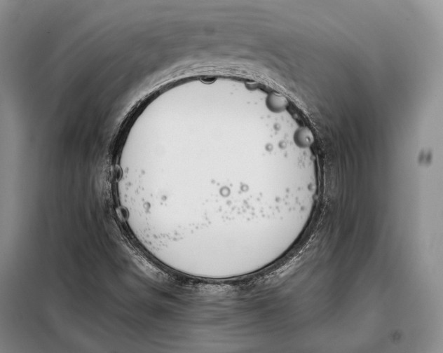 X0000098121498200804181506
