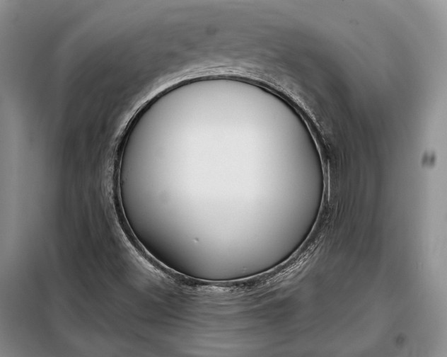X0000098121500200804181506