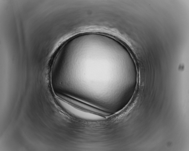 X0000098121501200804181506