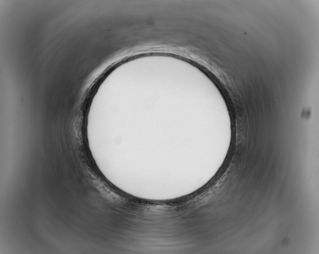 X0000098121502200804181506