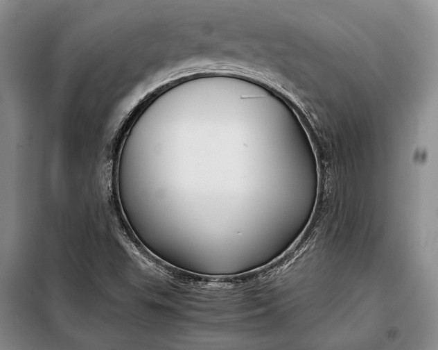 X0000098121503200804181506
