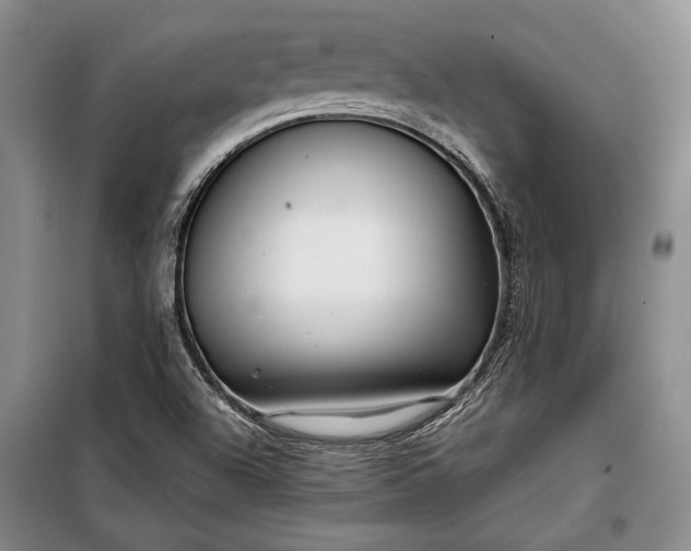 X0000098121504200804181506