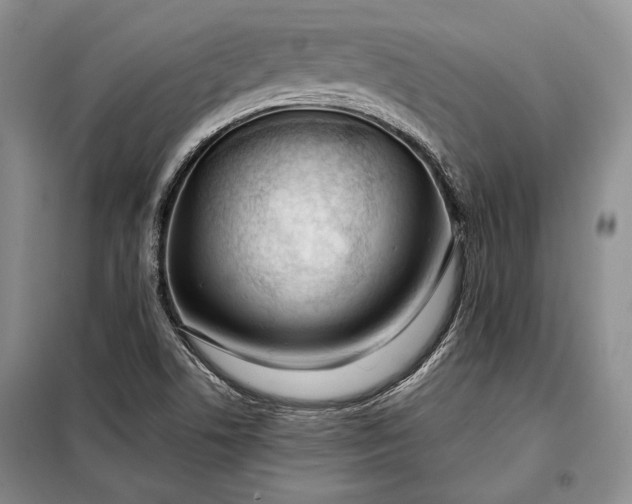 X0000098121506200804181506