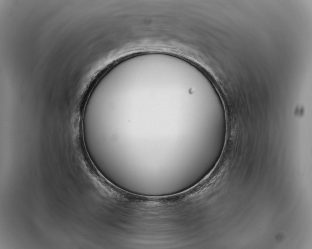 X0000098121507200804181506