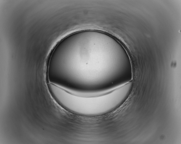 X0000098121508200804181506