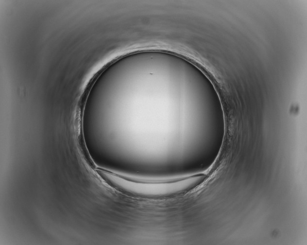 X0000098121510200804181506