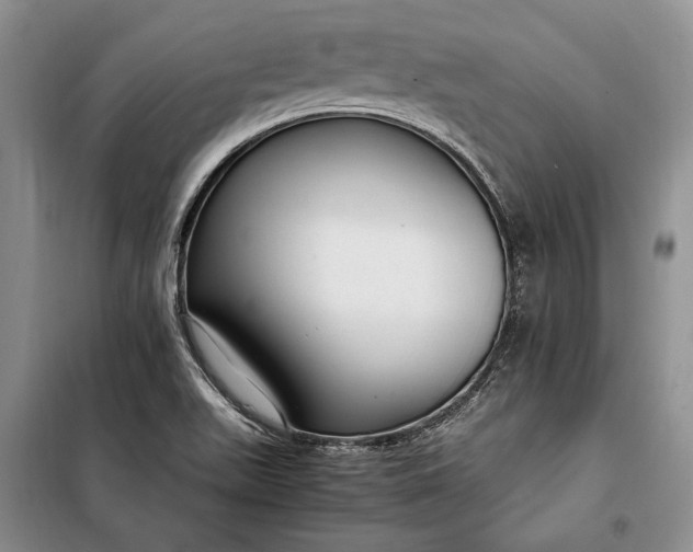 X0000098121511200804181506