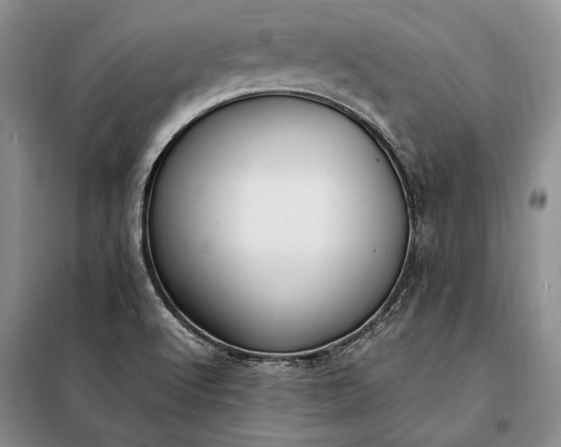 X0000098121512200804181506