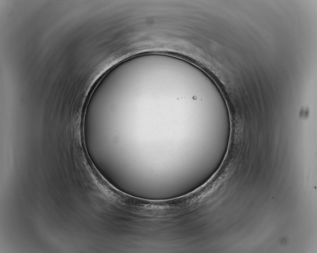 X0000098121513200804181506