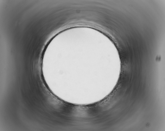 X0000098121514200804181506