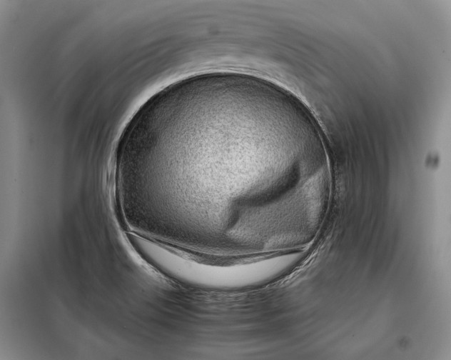 X0000098121515200804181506