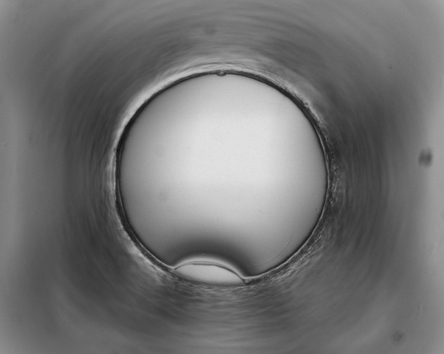 X0000098121516200804181506