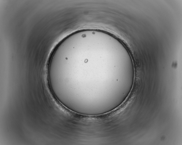 X0000098121517200804181506