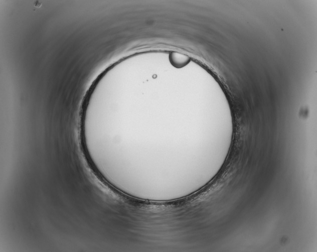 X0000098121518200804181506