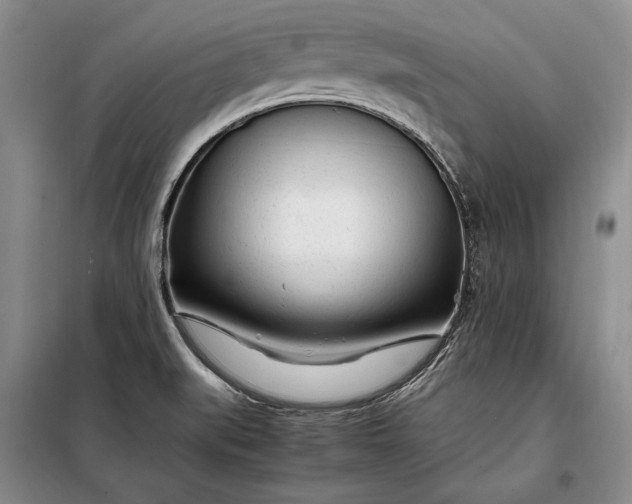 X0000098121519200804181506