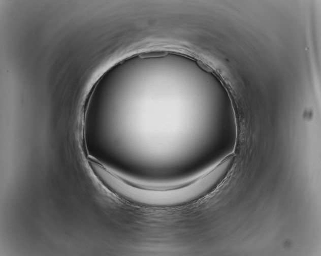 X0000098121520200804181506