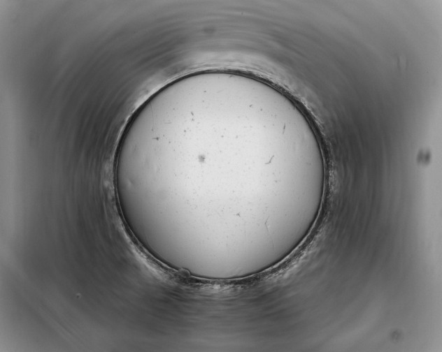 X0000098121521200804181506