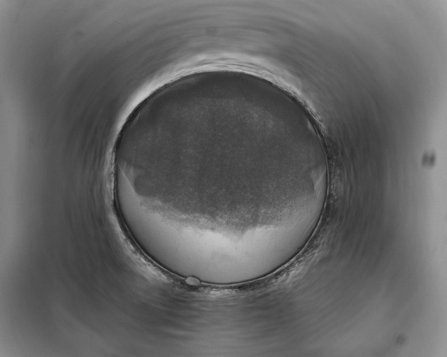 X0000098121522200804181506
