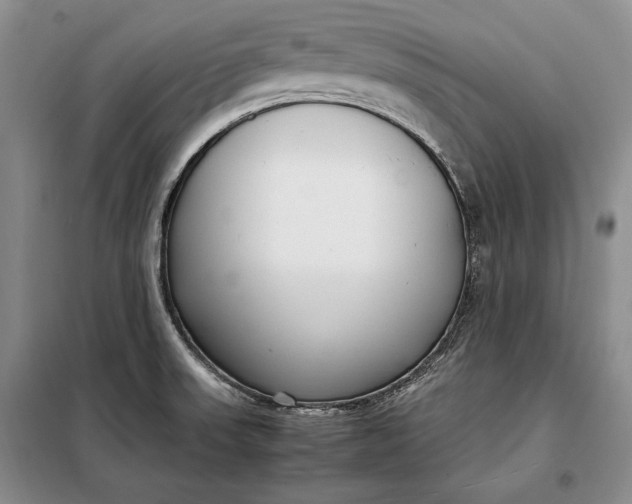 X0000098121523200804181506