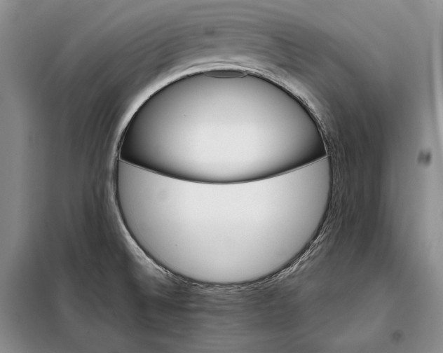X0000098121524200804181506