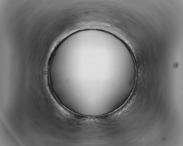 X0000098121525200804181506