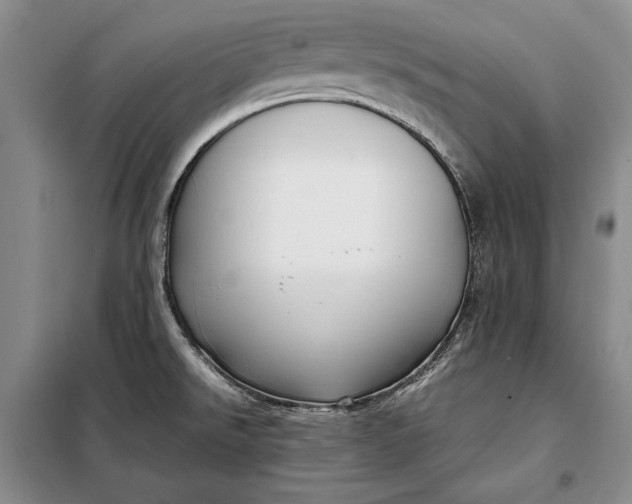 X0000098121526200804181506