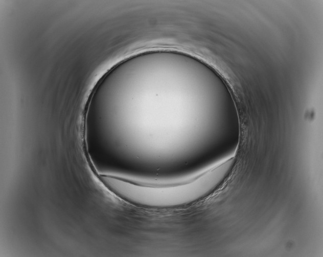X0000098121527200804181506