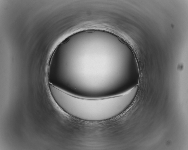 X0000098121528200804181506