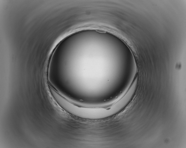 X0000098121530200804181506