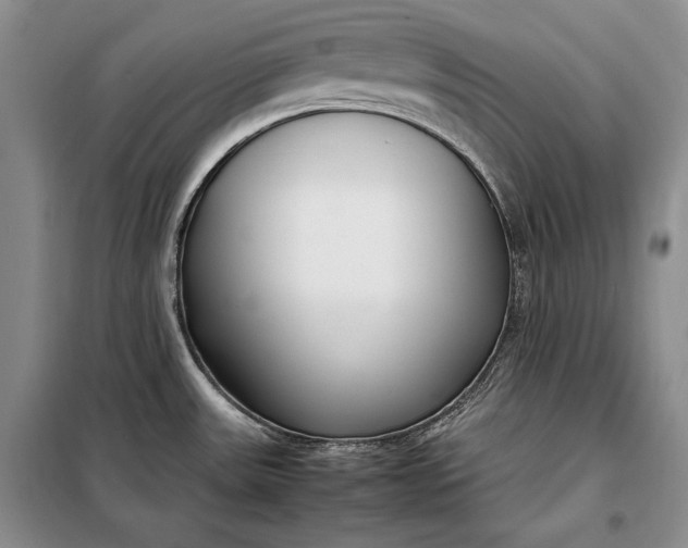 X0000098121531200804181506