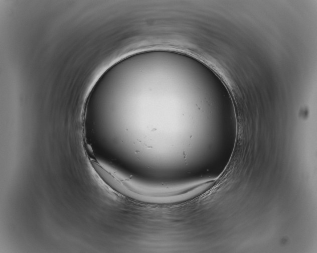 X0000098121532200804181506
