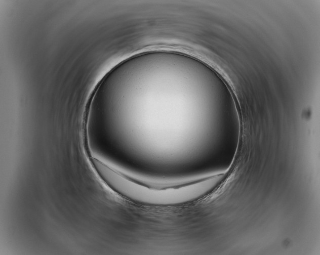X0000098121533200804181506