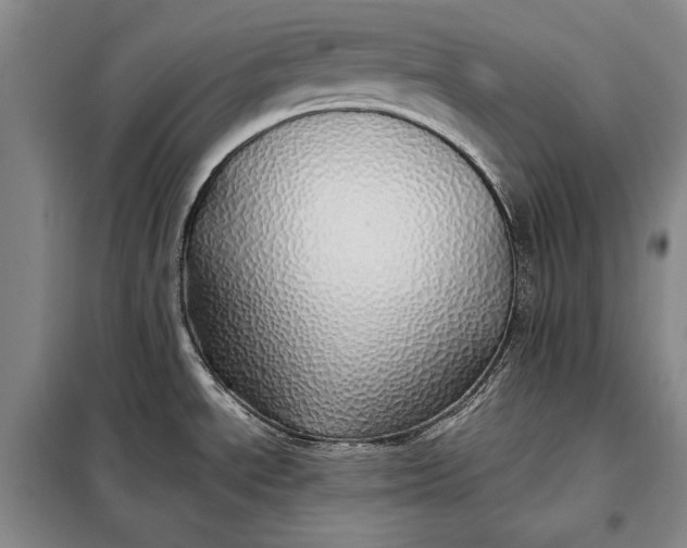 X0000098121534200804181506