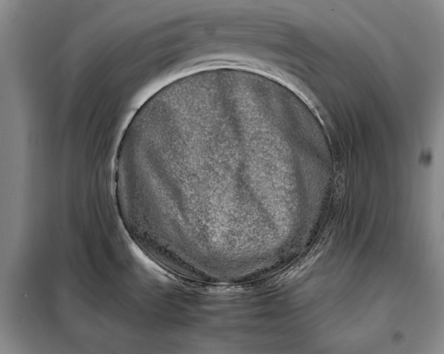 X0000098121535200804181506