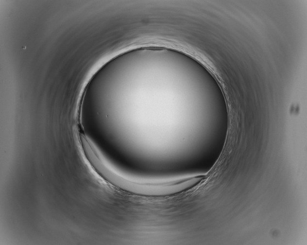 X0000098121536200804181506